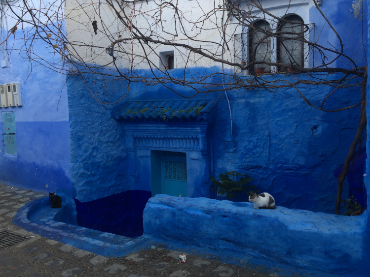 Maison Chefchaouen