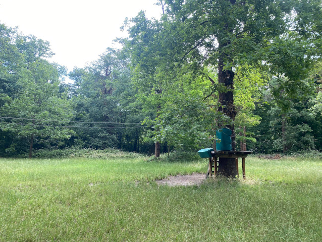 Parcours accrobranche pour les petits - Parc Floral