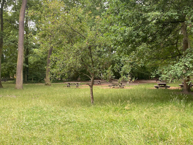 Tables pique nique - Parc Floral