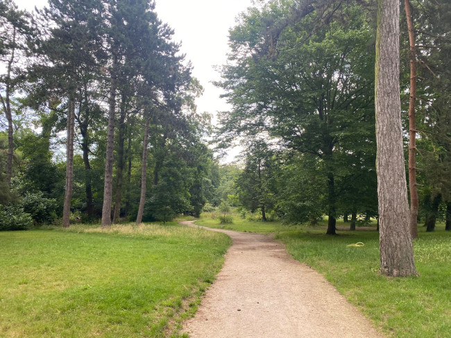 Chemin boisé - Parc Floral