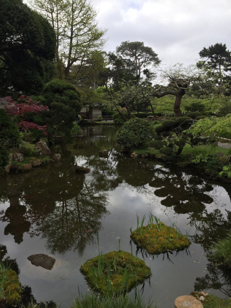 Japanese Tea Garden - SF