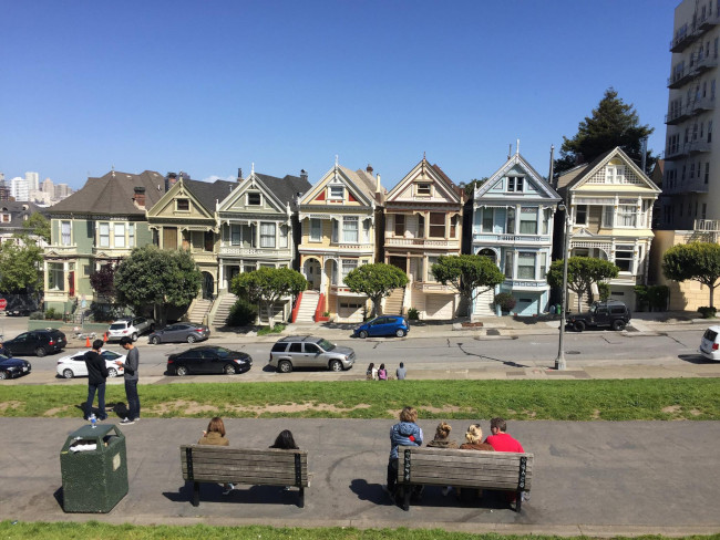 Seven Painted Ladies - SF