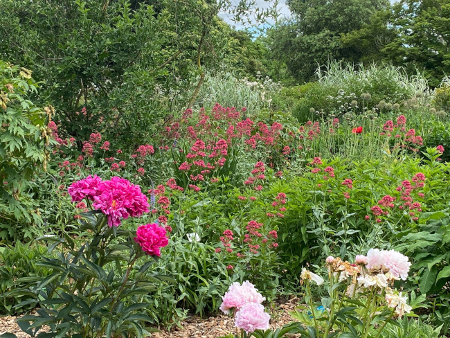 Fleurs - Parc Floral