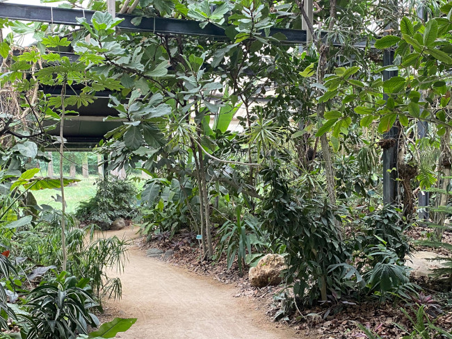 Intérieure d'une serre - Parc Floral