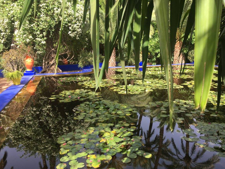 Jardin Majorelle