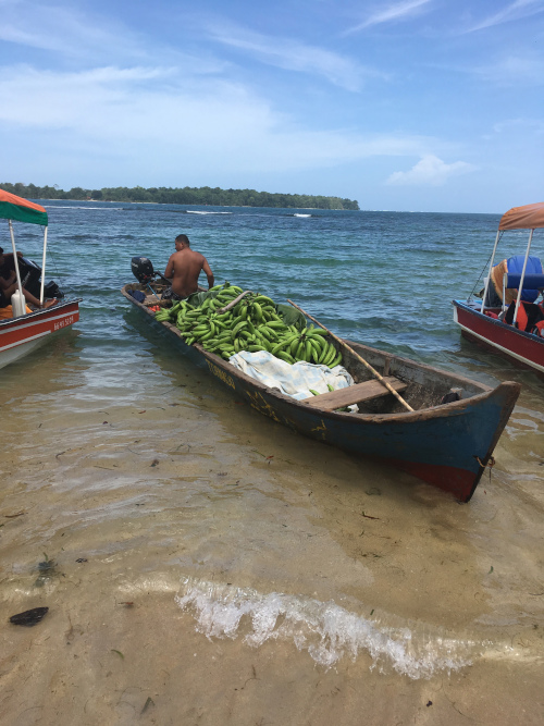 Bateau transportant des bananes