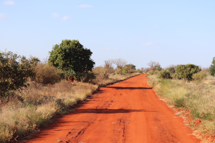 Terre rouge du Tsavo Est